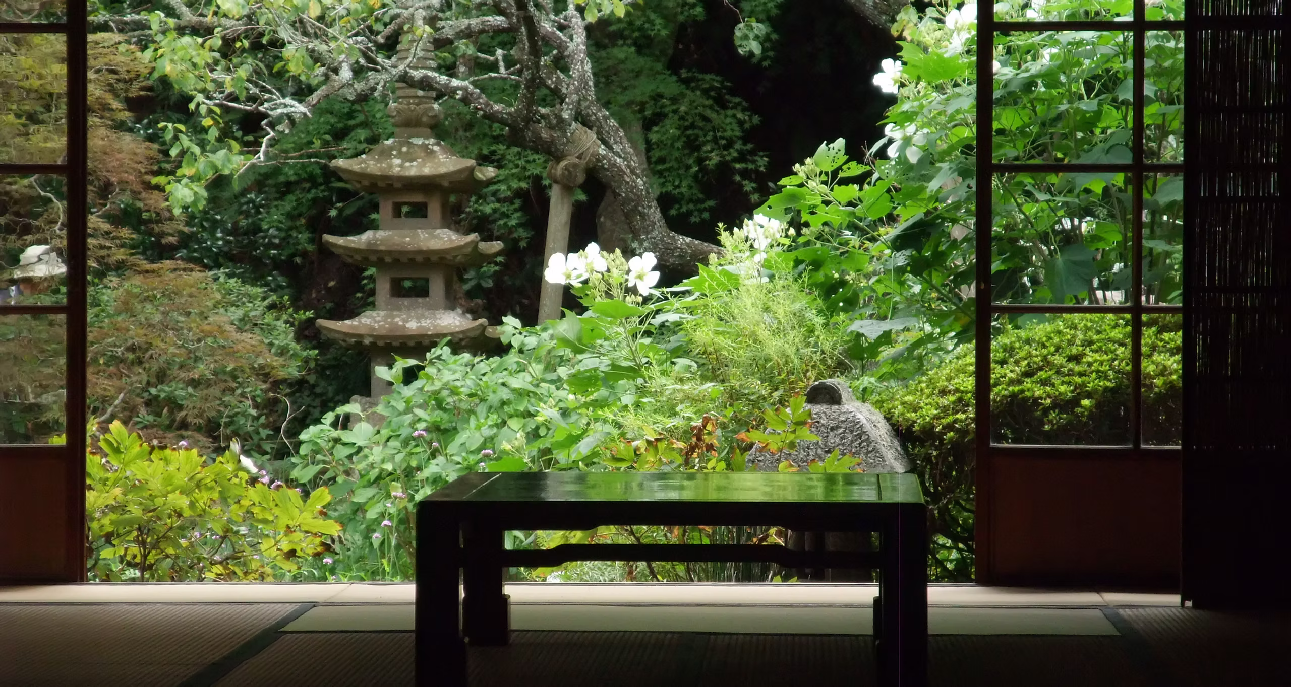 木々に囲まれた静かな日本庭園